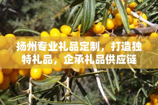 扬州专业礼品定制，打造独特礼品，企承礼品供应链